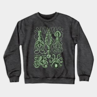 Ernst Haeckel Gamochonia Octopus Green Crewneck Sweatshirt